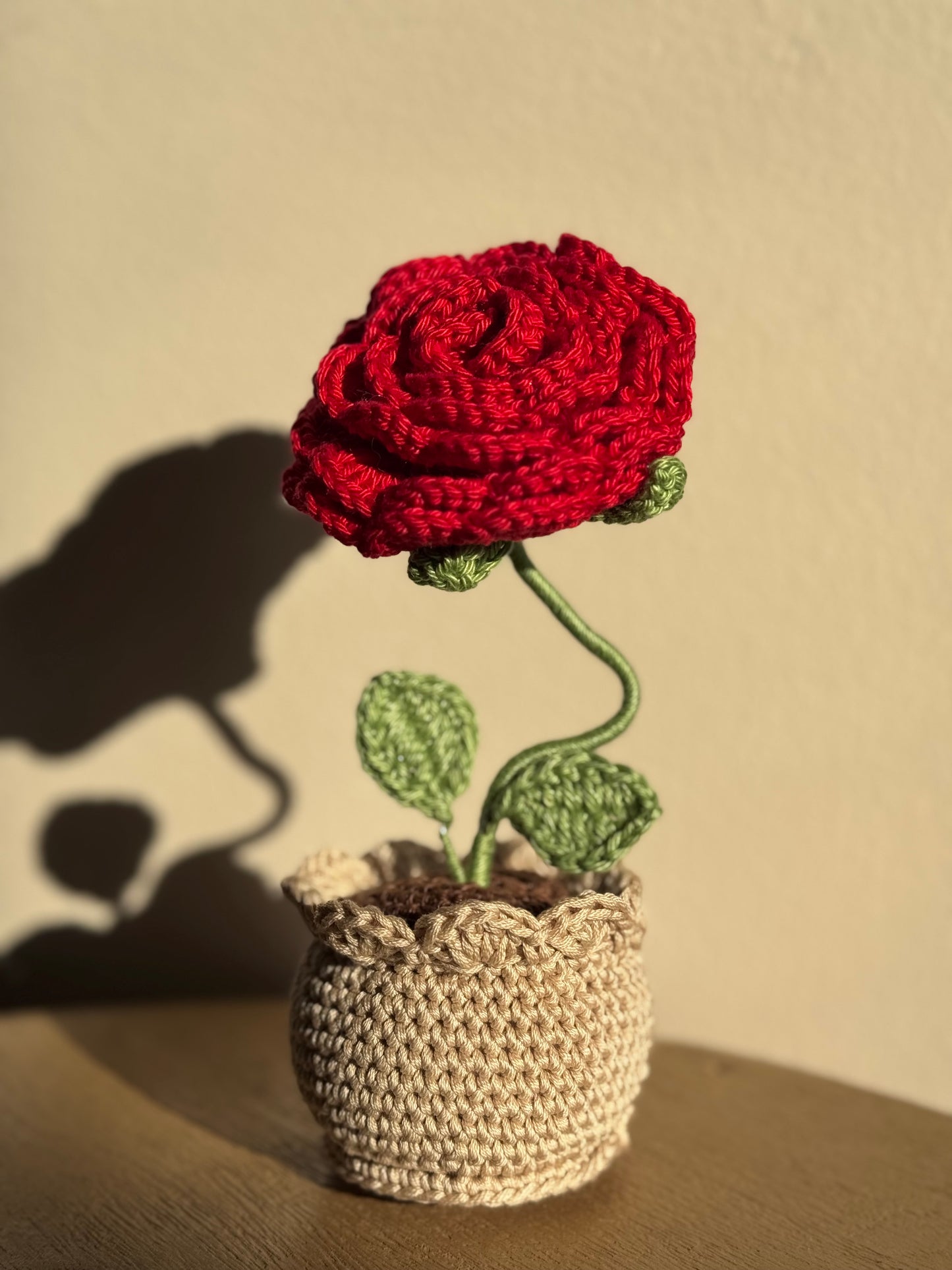 Vaso a una Rosa