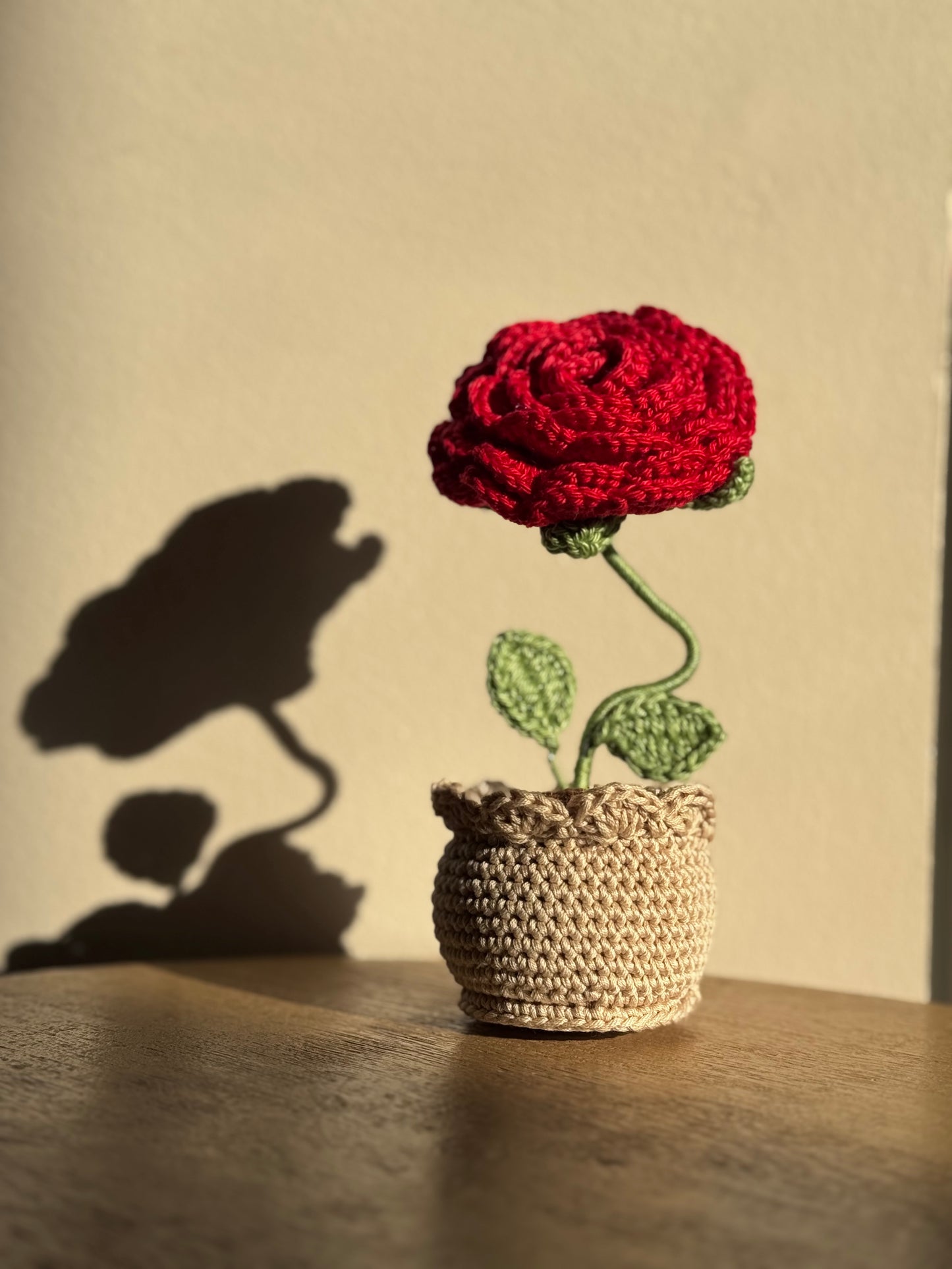 Vaso a una Rosa