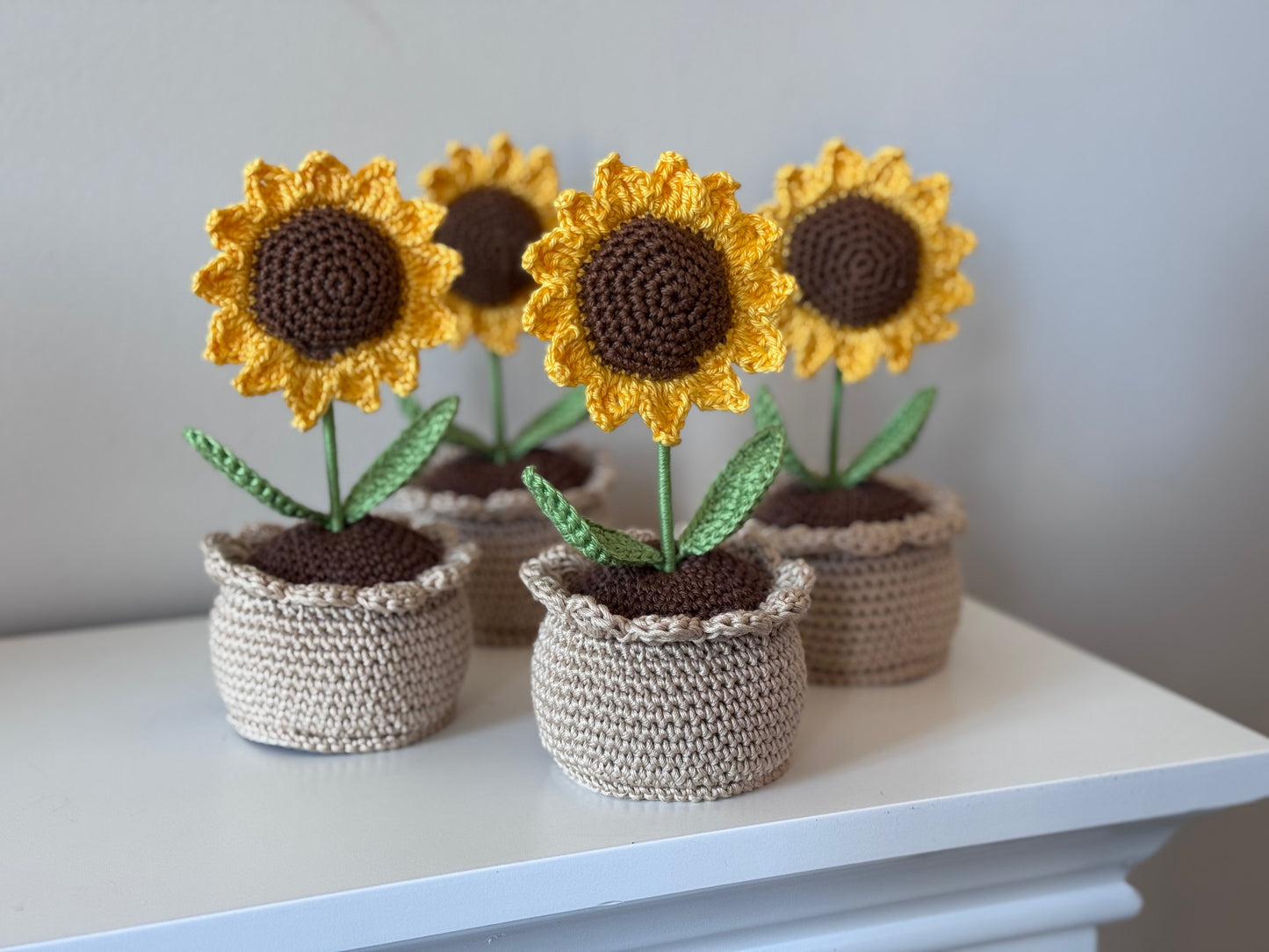 Fiori in vaso all'uncinetto con confezione BOMBONIERA