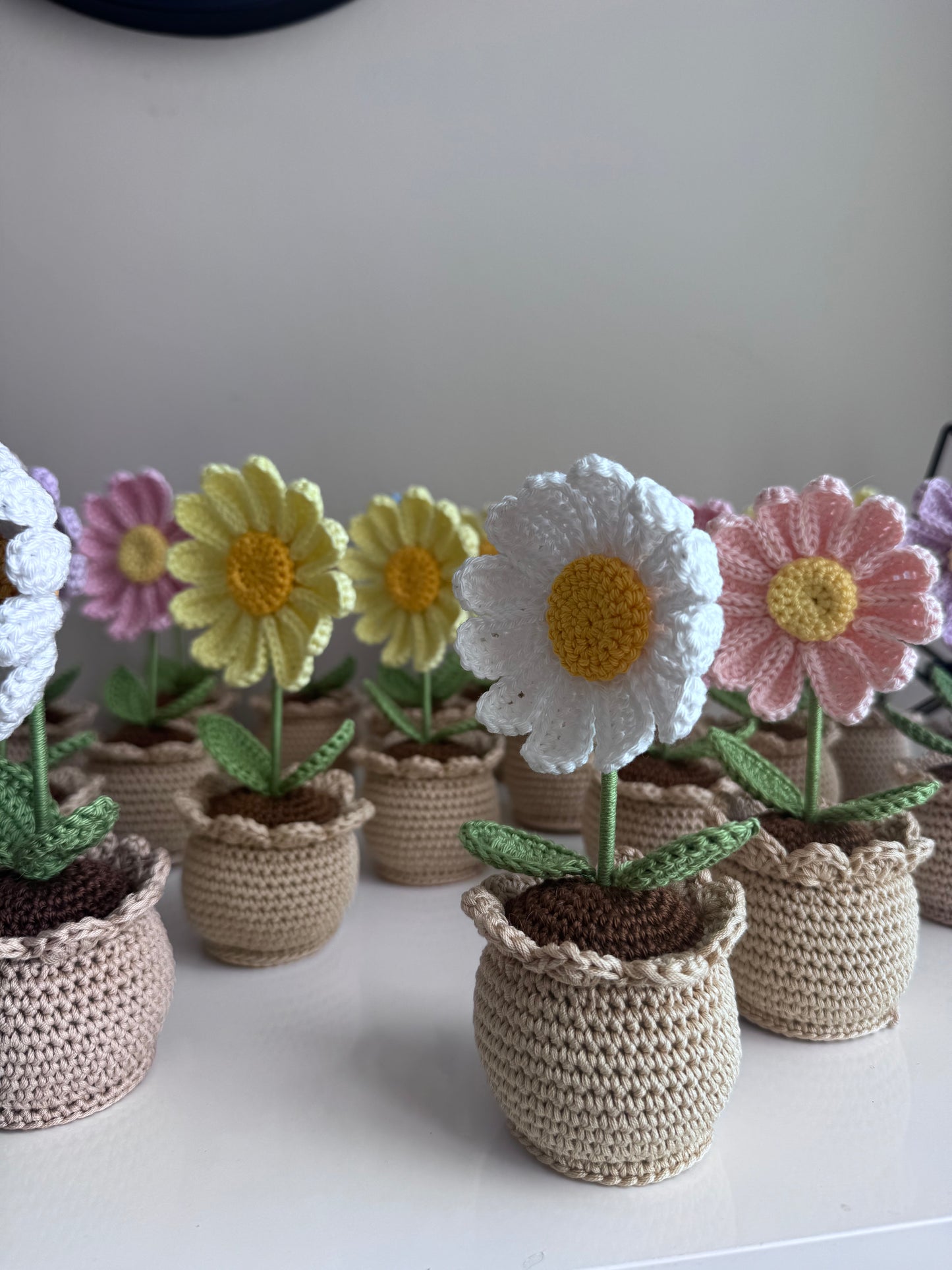 Fiori in vaso all'uncinetto