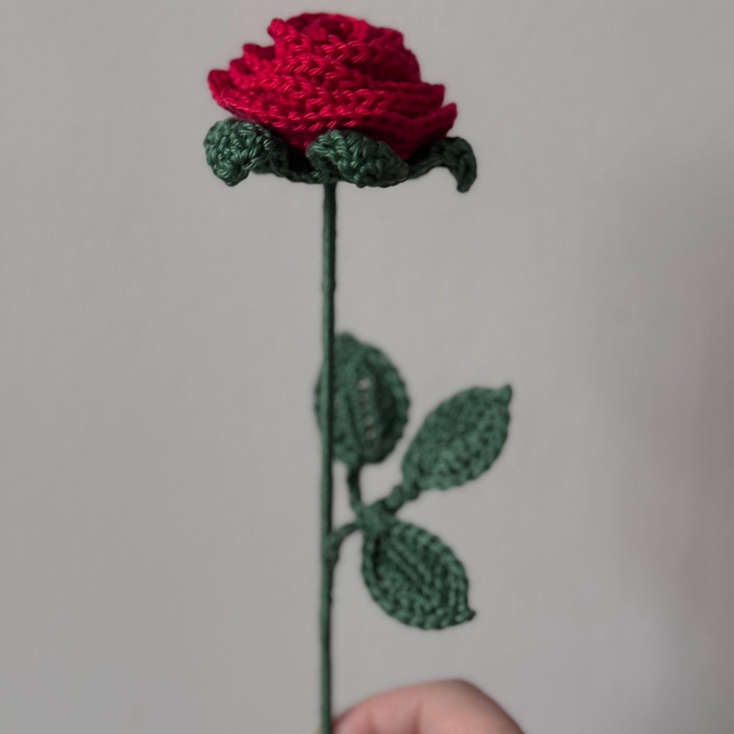Rosa con gambo